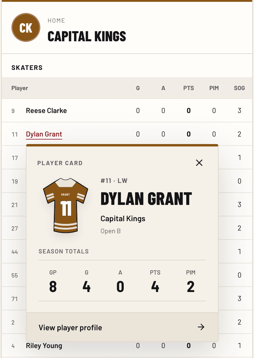 Sample player statistics card over a fictional team skater table